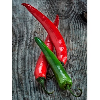 Lydabsorbent Chili 90x120 cm