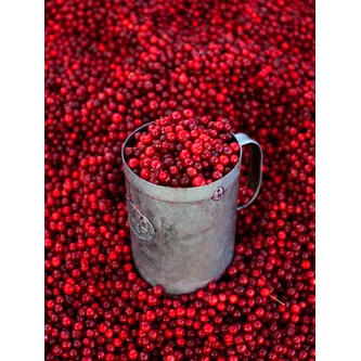 Lydabsorbent Tyttebær 90x120 cm