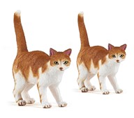 Katter