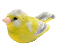 Grønnfink