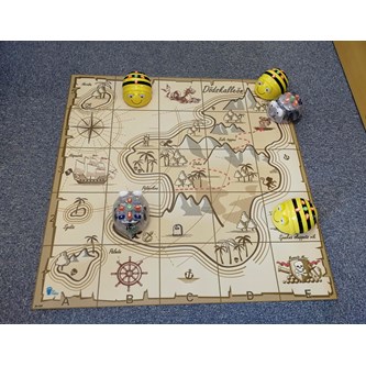 Bee-Bot matte skattekart