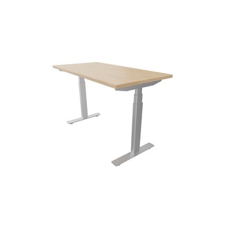 Skrivebord Work 120x60 cm E-motion Sølv