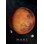 Curiscope Multiverse interaktiv plakat Mars