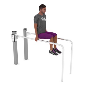 Workout Dip stand 2302