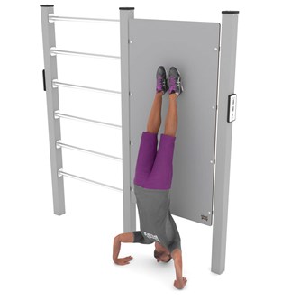 Workout Wall & Wall bars 2308