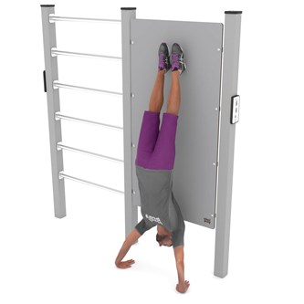 Workout Wall & Wall bars 2308