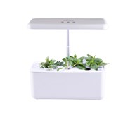 Hydrophonic dyrking med LED-belysning