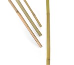 Bambuspinne 200 cm