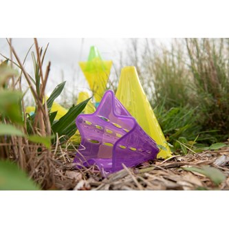 Sensoriske kjegler transparente farger