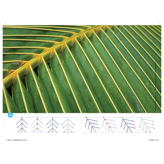 Forberedende skriving, aktivitetspakke