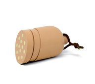Kjøttpølse