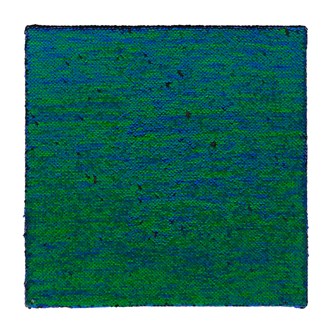 Sansebrett paljett blågrønn/svart