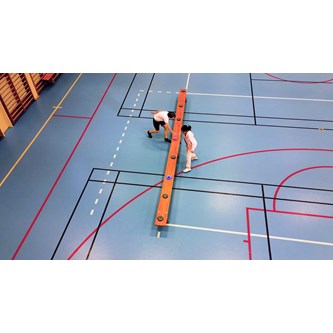 Push treningspuck 4 stk