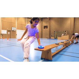 Push treningspuck 4 stk