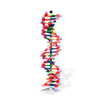 DNA dobbelspiral, miniDNA® molekylmodell