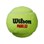 Padelballer Wilson 3 stk