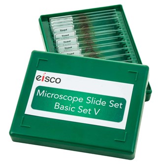 Mikroskoppreparater, Base