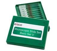 Mikroskoppreparater, Base