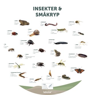 Utendørsskilt: Insekter og småkryp