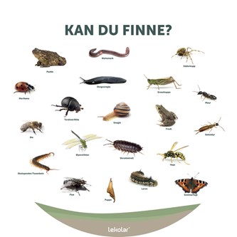 Utendørsskilt: Kan du finne?