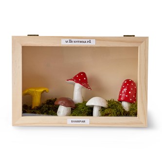 Titteskap i tre 20x20 cm