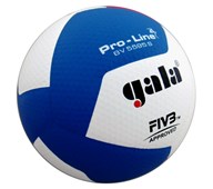Volleyball Gala match FIVB-godkjent
