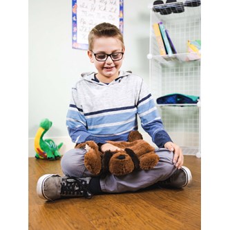 Vektteppe kosehund