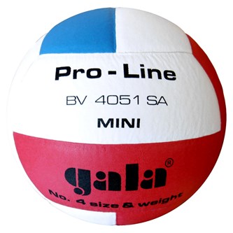 Gala Volleyball str 4