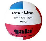 Gala Volleyball str 4
