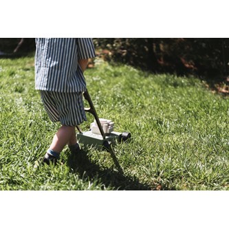 Dantoy Green Garden gressklipper