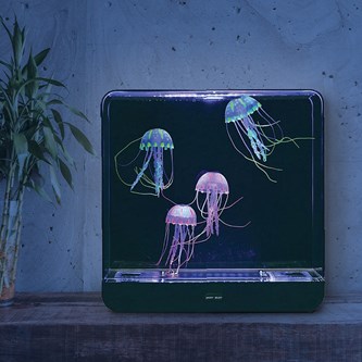 Manetakvarium kvadrat