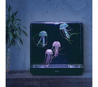 Manetakvarium kvadrat