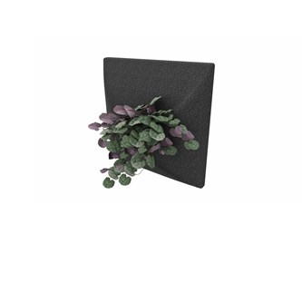 Lydabsorbent Plant Panel slice