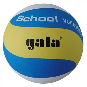 Gala School volleyball
