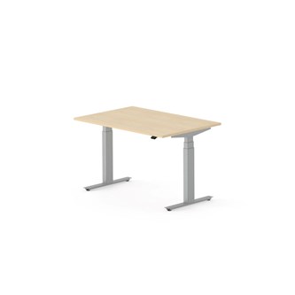 Skrivebord Work FSC BX HT 120x80 cm sølv