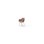 Stol Zoom