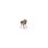 Stol Zoom