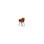 Stol Zoom