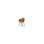 Stol Zoom