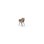 Stol Zoom