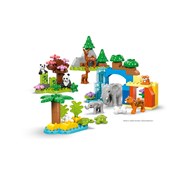 LEGO® DUPLO dyr