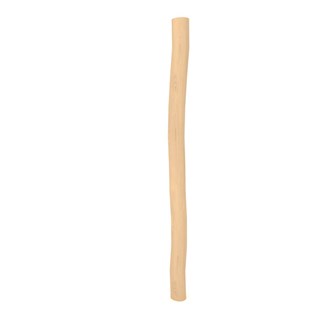 ROBINIA 0953 stolpe H300cm