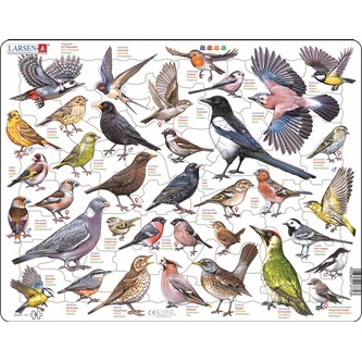 Puslespill fugler i hagen