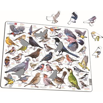 Puslespill fugler i hagen