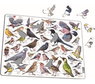 Puslespill fugler i hagen