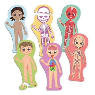 Gulvpuslespill kroppen 6 stk