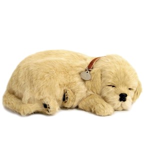 Terapihund som puster