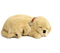 Terapihund som puster