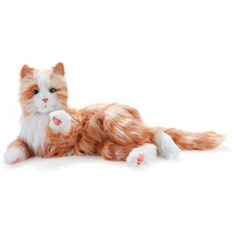 Terapikatt multisensorisk og interaktiv