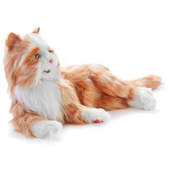 Terapikatt multisensorisk og interaktiv